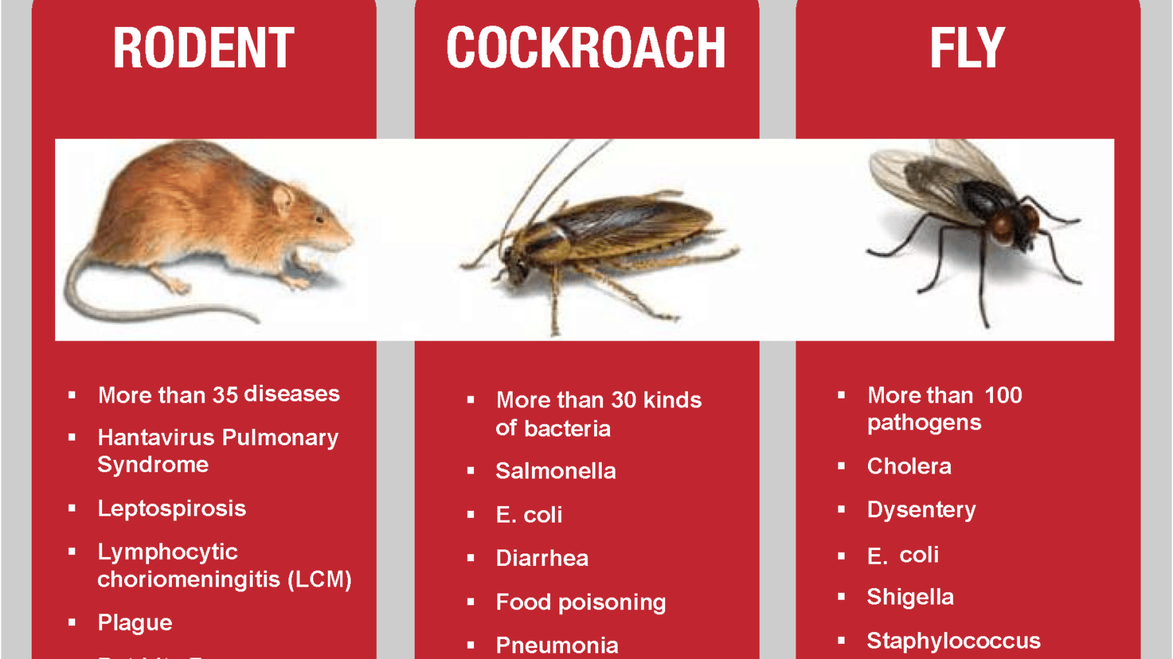 Pest Transmitted Diseases